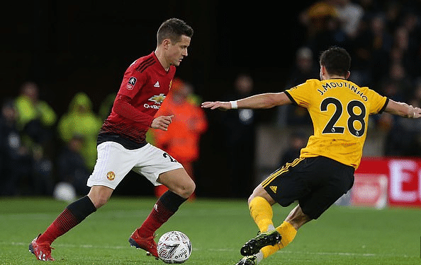 枝更茂盛 枝更茂盛